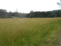 Prodej pozemku, Rybniště, 1856 m2