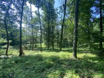 Prodej lesa, Roštění, 2228 m2