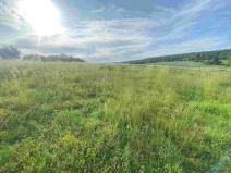 Prodej pozemku, Petrovice, 5404 m2
