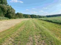 Prodej pole, Oldřichovice, 250 m2