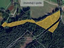 Prodej pozemku, Číměř - Bílá, 11112 m2