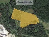 Prodej louky, Nová Role - Jimlíkov, 6450 m2