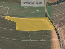 Prodej pole, Dolany, 16500 m2