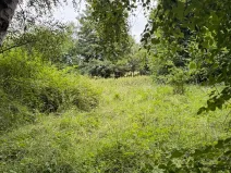 Prodej pozemku, Nezdřev, 8407 m2