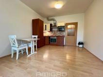 Pronájem bytu 1+kk, Brno, Božetěchova, 32 m2