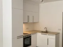 Pronájem bytu 1+kk, Libčice nad Vltavou, Pod Hliníkem, 33 m2