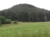 Dražba pole, Tuhaň, 19964 m2