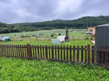 Pronájem zahrady, Česká, 250 m2