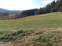 Dražba louky, Vyšší Brod, 1021 m2