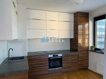 Pronájem bytu 2+kk, Praha - Holešovice, Dělnická, 64 m2