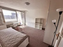 Pronájem bytu 1+1, Praha, Kaplická, 30 m2