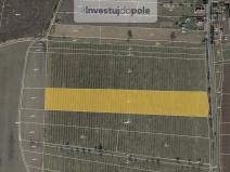 Prodej pole, Liběšice - Soběnice, 6199 m2