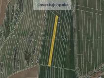 Prodej pole, Ostrov u Macochy, 3708 m2