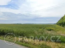 Prodej pole, Vyškov, 11396 m2