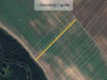 Prodej pole, Kostice, 1444 m2