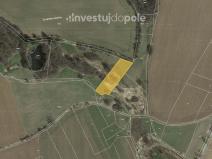 Prodej louky, Buřenice, 3009 m2