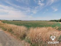 Prodej podílu pole, Praha - Cholupice, 2964 m2