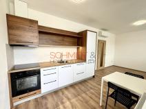 Pronájem bytu 1+kk, Hustopeče, Alejní, 30 m2