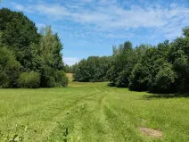 Prodej louky, Babice, 45608 m2