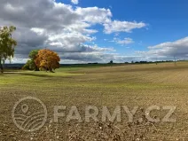 Prodej pole, Arneštovice, 51160 m2