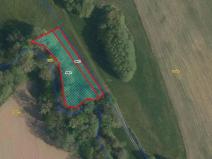 Prodej pozemku, Luže, 1586 m2