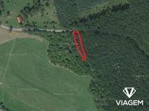 Prodej podílu lesa, Bačalky, 626 m2