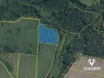 Prodej lesa, Mohelnice, 9122 m2