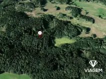 Prodej lesa, Nalžovské Hory, 6708 m2