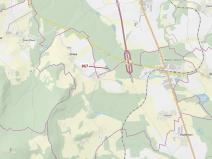 Dražba lesa, Netřebice, 3608 m2