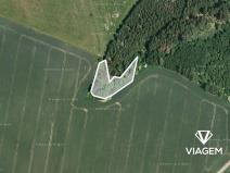 Prodej podílu lesa, Radošovice, 683 m2