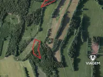 Prodej podílu lesa, Roztoky u Semil, 6000 m2
