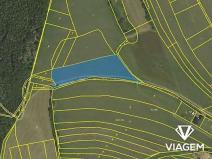 Prodej podílu pole, Velenov, 2564 m2