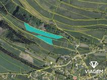 Prodej pole, Vysoká Srbská, 21336 m2