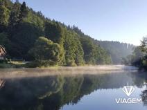 Prodej lesa, Bečice, 36578 m2