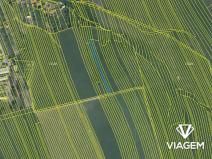 Prodej podílu pole, Bojkovice, 278 m2