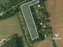 Prodej lesa, Pozdeň, 7287 m2