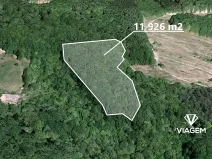 Prodej podílu lesa, Košíky, 2115 m2