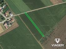 Prodej podílu pole, Rakvice, 458 m2