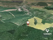 Prodej pole, Nedachlebice, 1926 m2