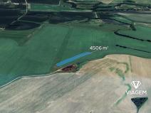 Prodej podílu pole, Čejetice, 1126 m2
