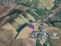 Prodej podílu pole, Lovčice, 2817 m2