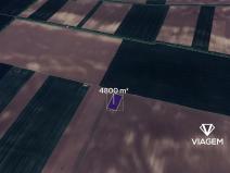 Prodej pole, Troskotovice, 4800 m2