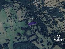Prodej pole, Tvarožná Lhota, 7030 m2