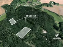 Prodej lesa, Březina, 18560 m2