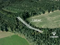 Prodej lesa, Třemošná, 1543 m2