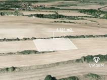 Prodej pole, Tachlovice, 4891 m2