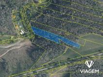 Prodej lesa, Slavičky, 3165 m2