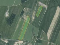 Prodej pole, Melč, 26233 m2