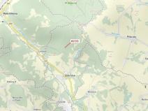 Dražba lesa, Zubrnice, 815 m2