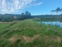 Pronájem rybníku, Komárovice, 9025 m2